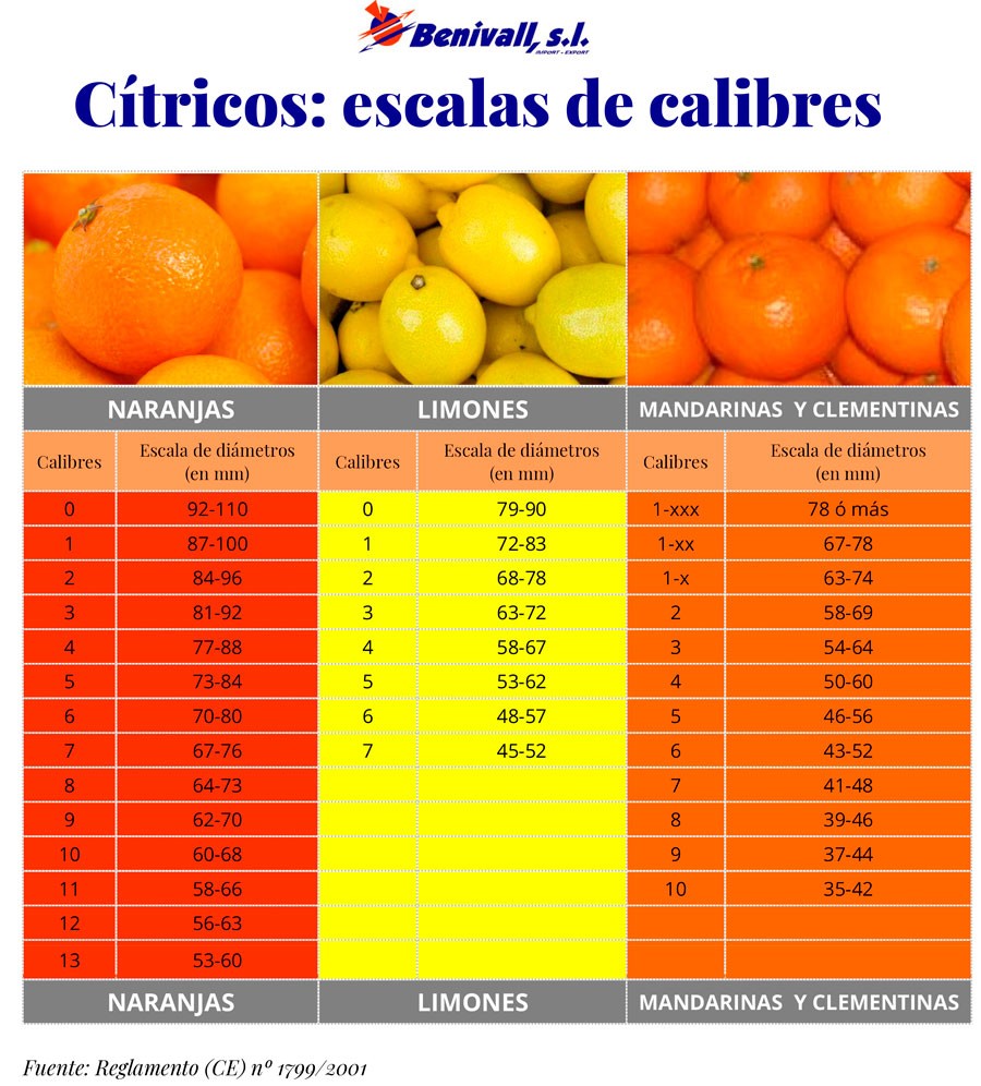 ¿Cuántas naranjas son 5 kilos?